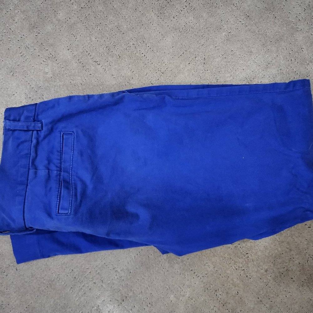 Blue Canvas Pants size 0